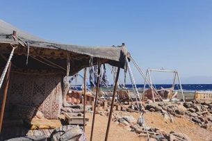 the history of the world in 6 glasses pdf